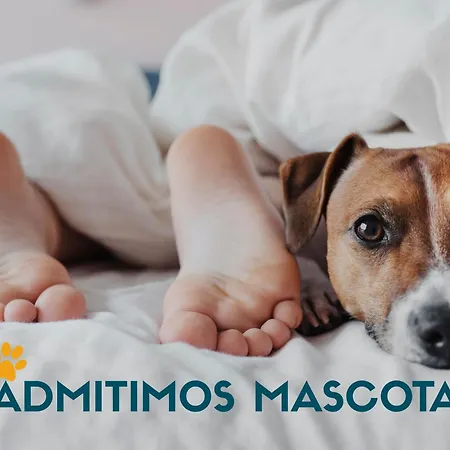 Centro Llandels 3000 Διαμέρισμα Peñíscola